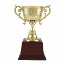 Being a Champion